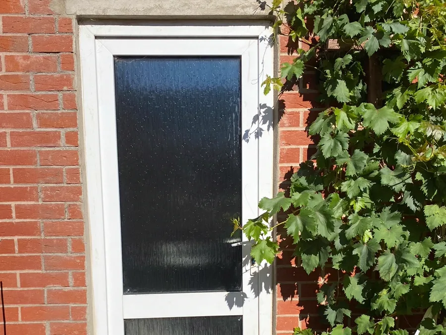 The front door of H2 Clinic in Norton Fitzwarren, with a grapevine growing up the brickwork.